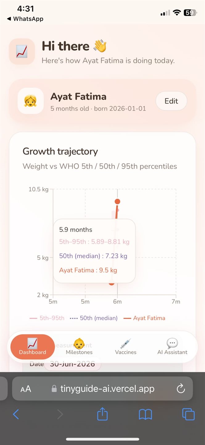 TinyGuide AI preview 2